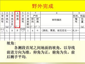地质剖面的实测与成图方法 基础地质勘查中的规范操作指南